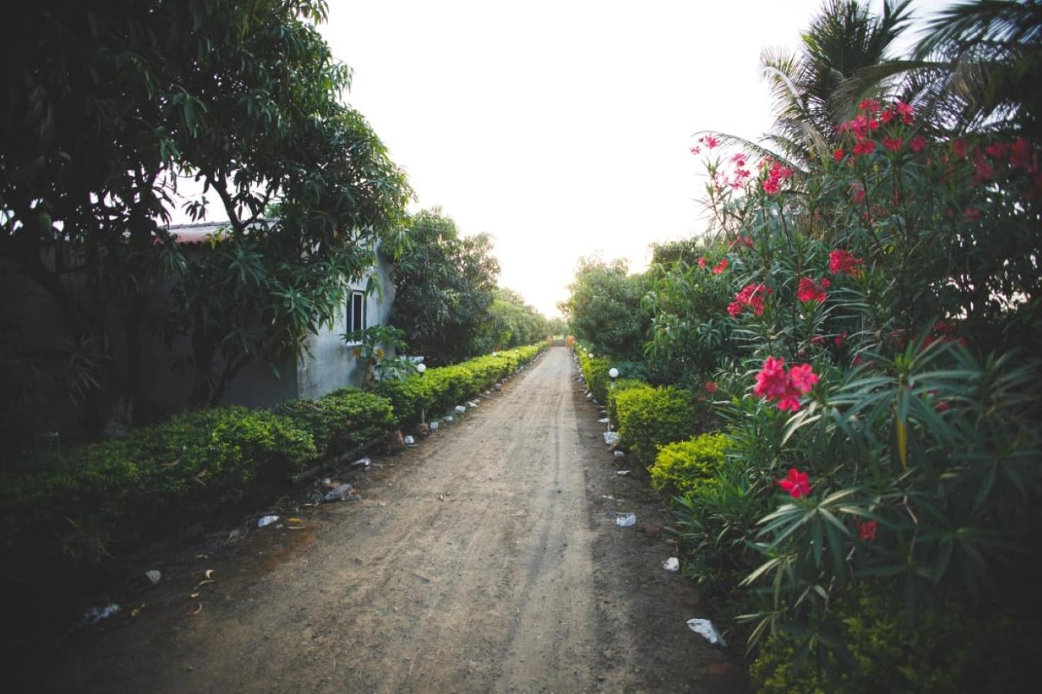 Отель Gokul Farm House Гирский лес Экстерьер фото